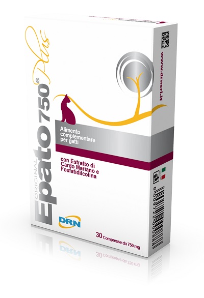 GetDoc