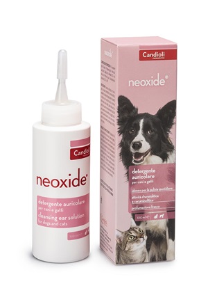 GetDoc